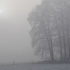 Winternebel