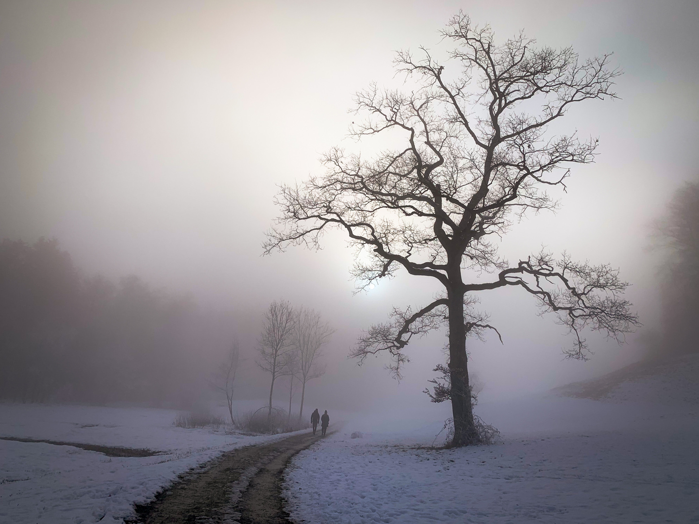 Winternebel