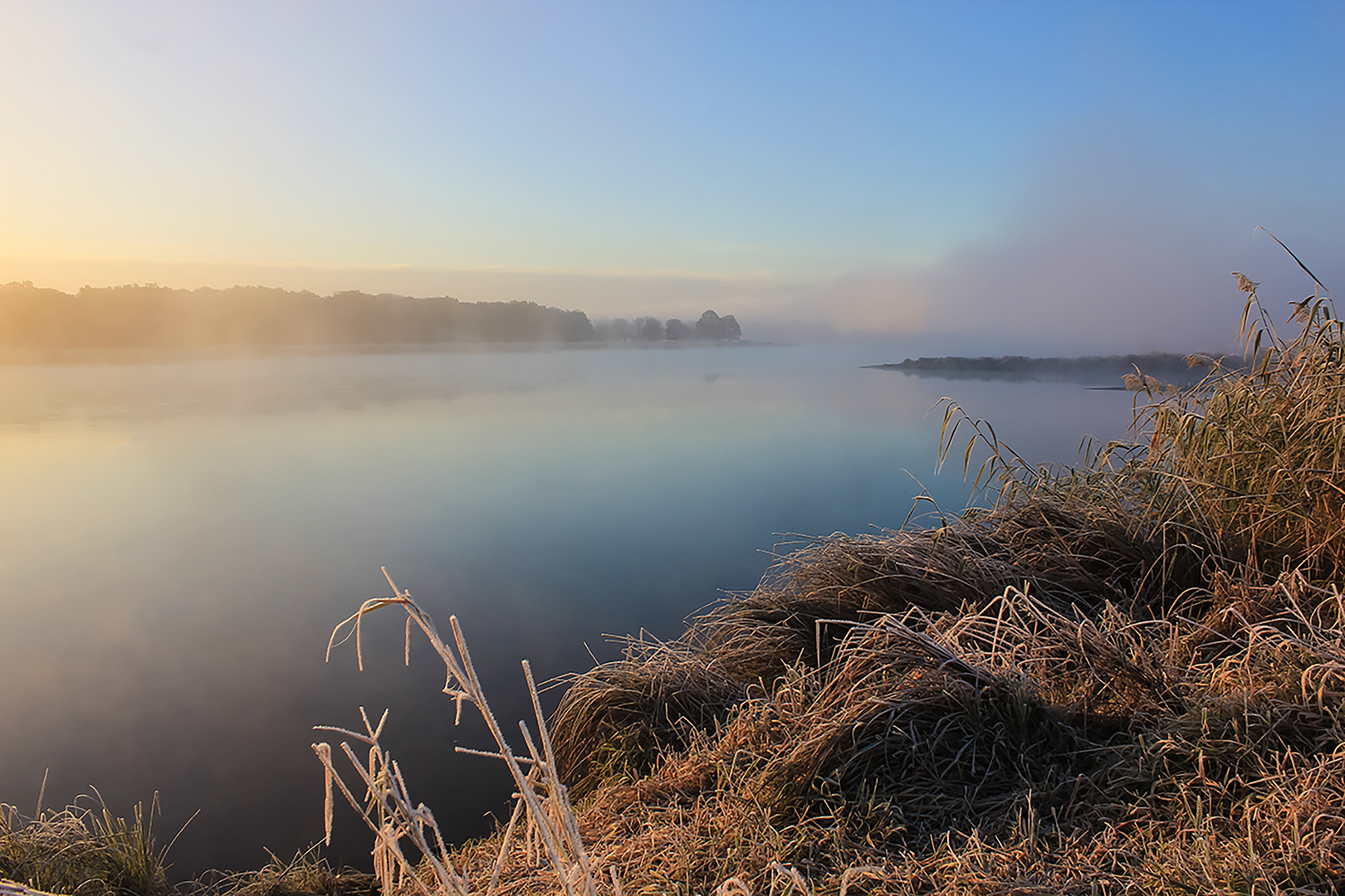 Winternebel