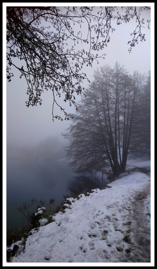 Winternebel