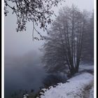 Winternebel