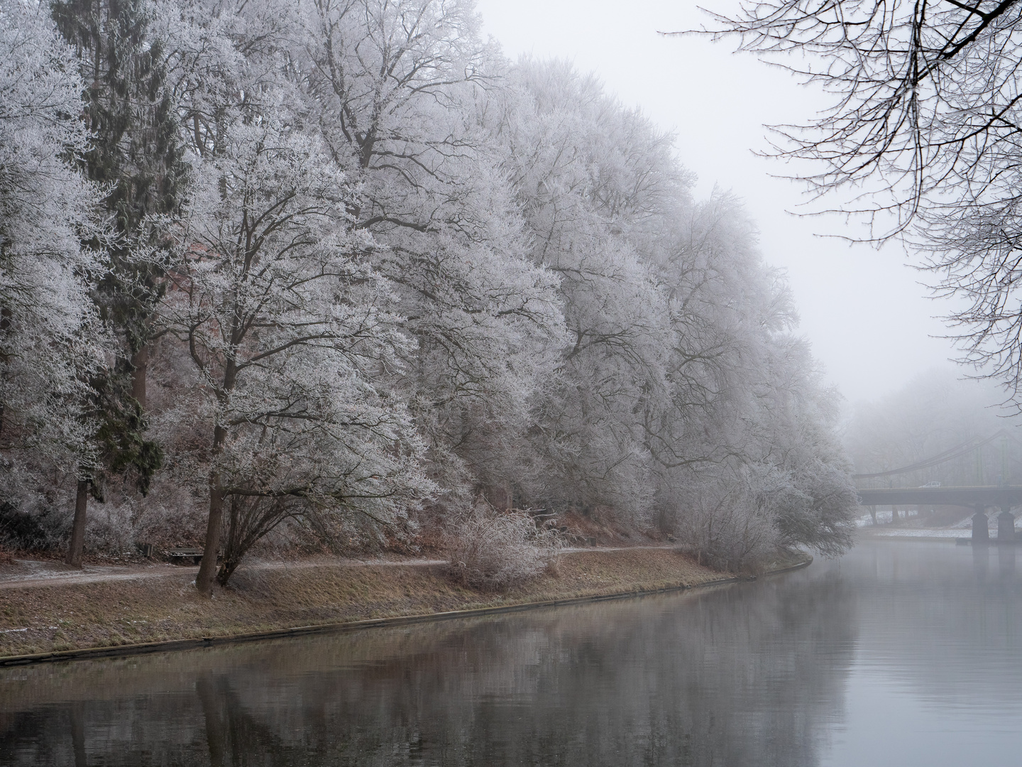 Winternebel