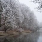 Winternebel