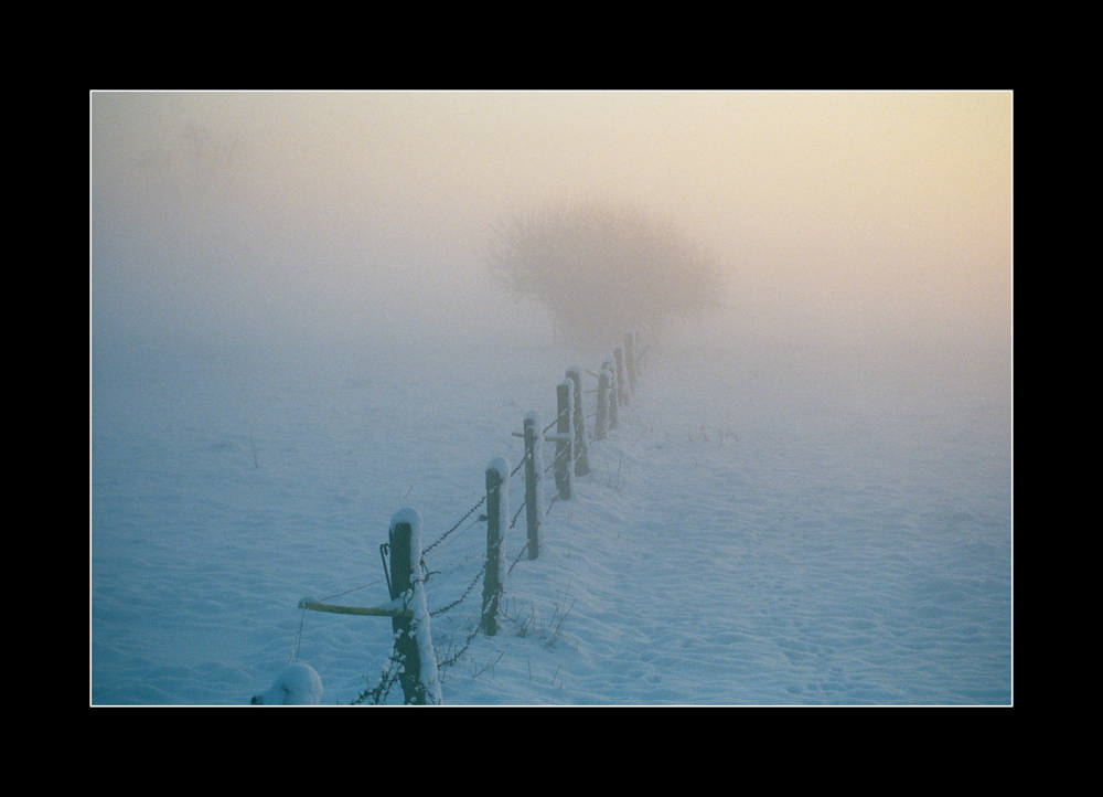 Winternebel im Abendlicht