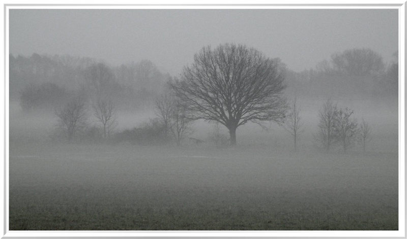 Winternebel im Aischgrund