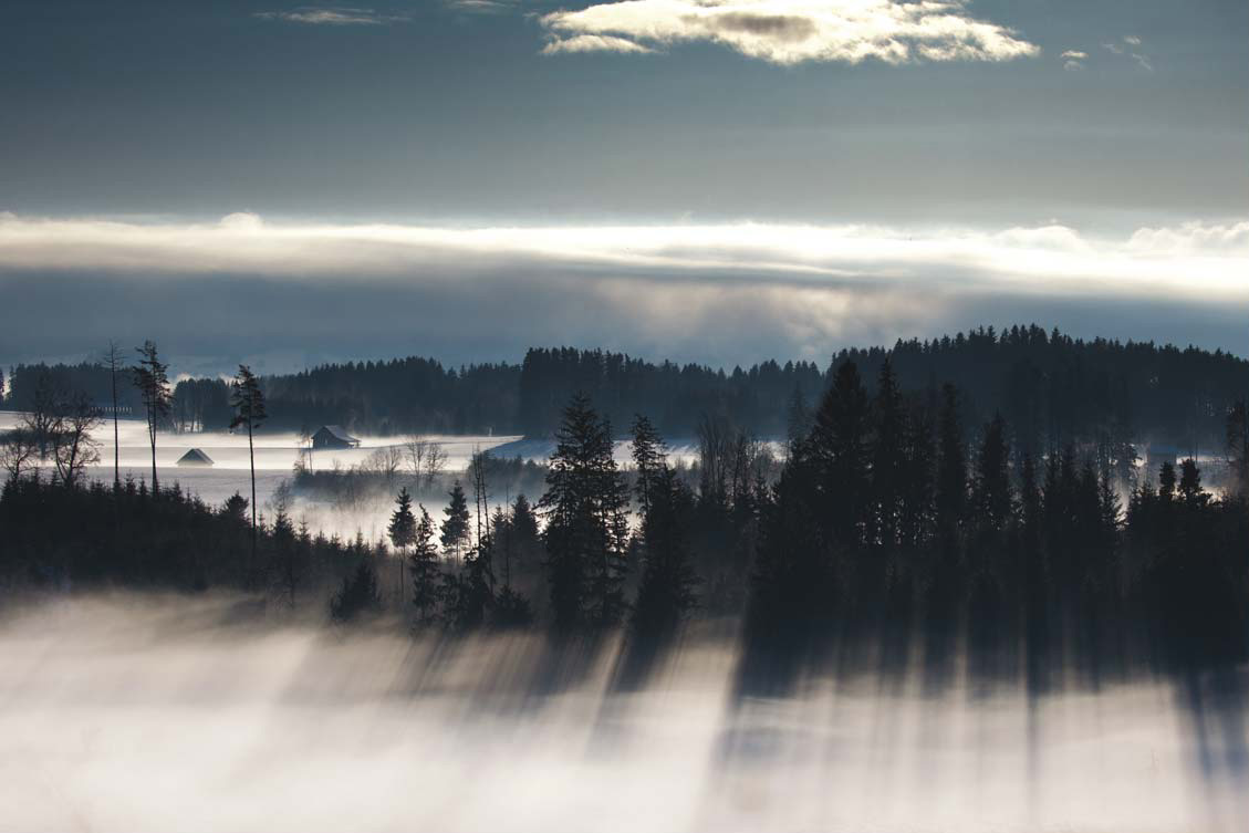 Winternebel im Allgäu