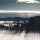 Winternebel im Allgäu