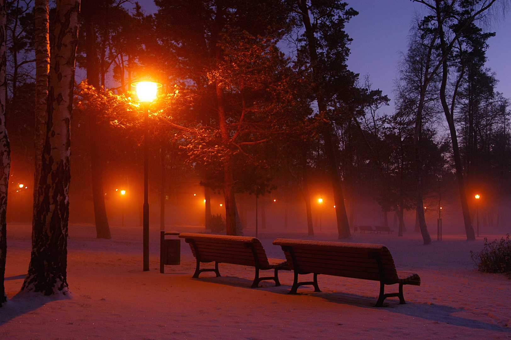 Winternebel im Kurpark