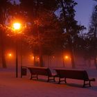 Winternebel im Kurpark