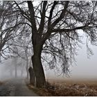 winternebel in böhmen