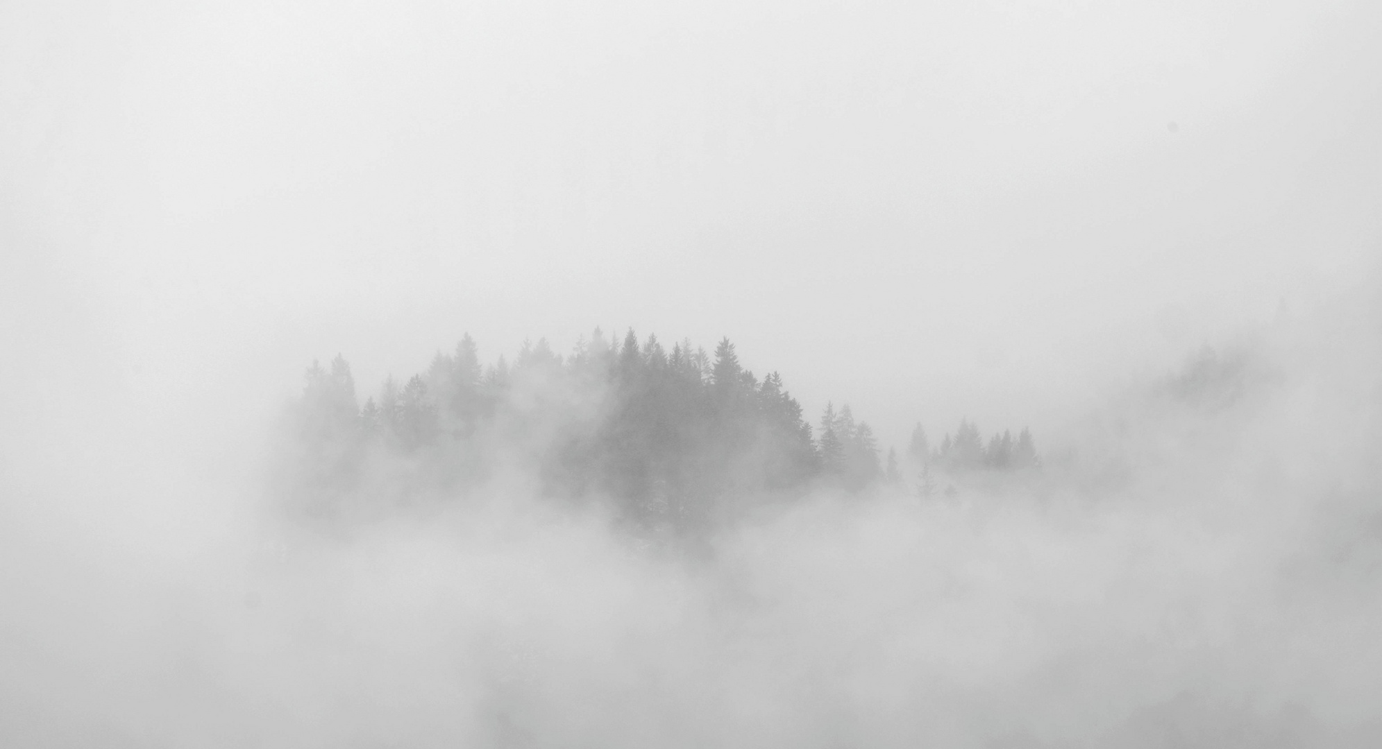 Winternebel in den Allgäuer Alpen