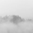 Winternebel in den Allgäuer Alpen