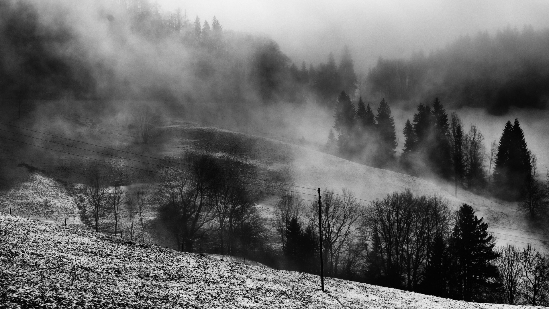 Winternebel Landschaft