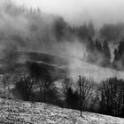 Winternebel Landschaft