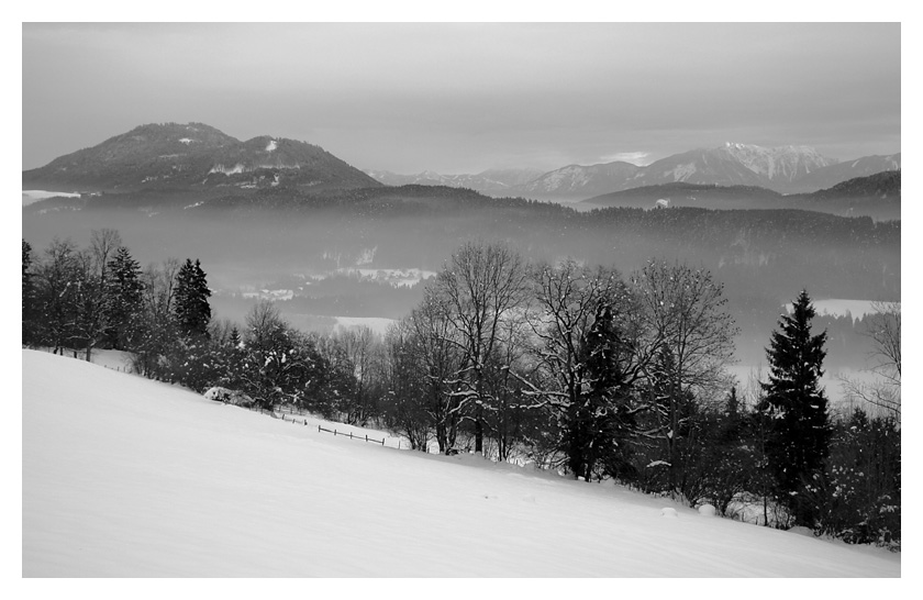 Winternebel - Nebelwinter