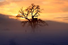 Winternebel-Sonnenuntergangs-Spaziergang