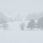 Winternebel_2