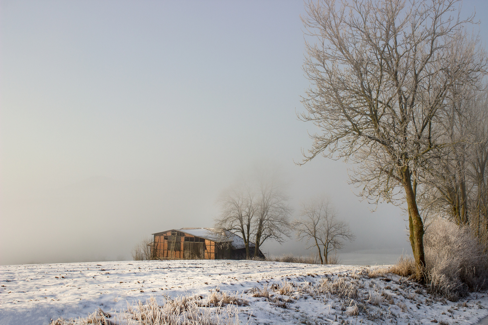 WinterNebelSonne