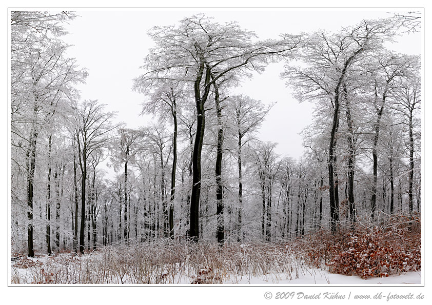 Winterpano