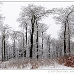 Winterpano