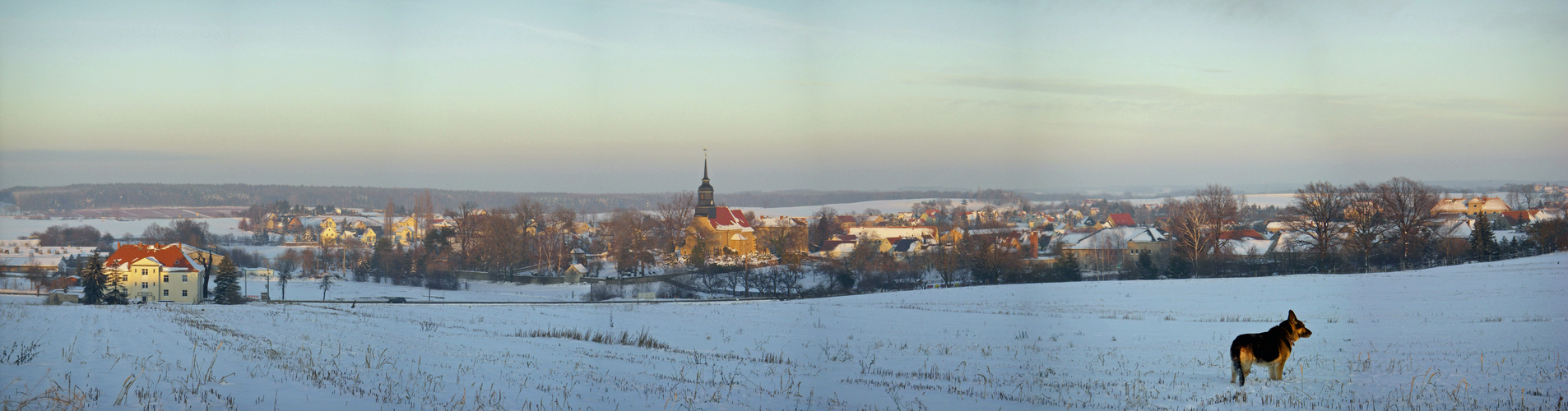 Winterpanorama