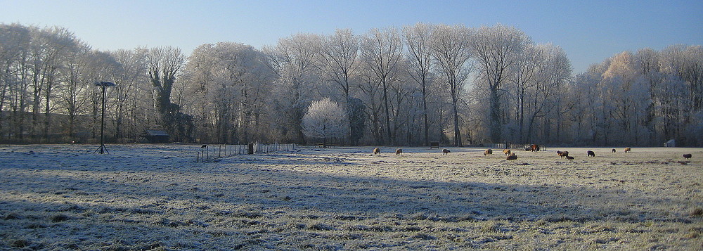 Winterpanorama