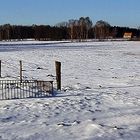 Winterpanorama