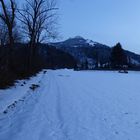 Winterpanorama