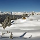 Winterpanorama