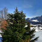 - Winterpanorama -