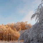 Winterpanorama am Straßenrand