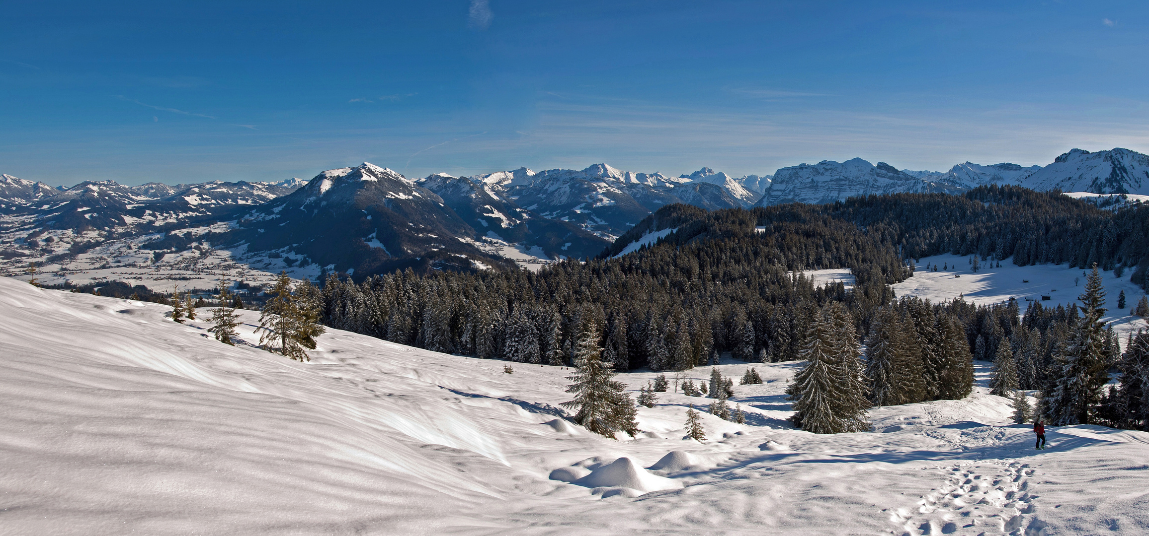 Winterpanorama Bregenzer Wald