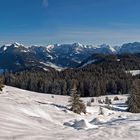 Winterpanorama Bregenzer Wald
