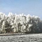 Winterpanorama 