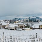 Winterpanorama