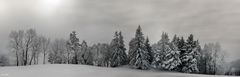 Winterpanorama