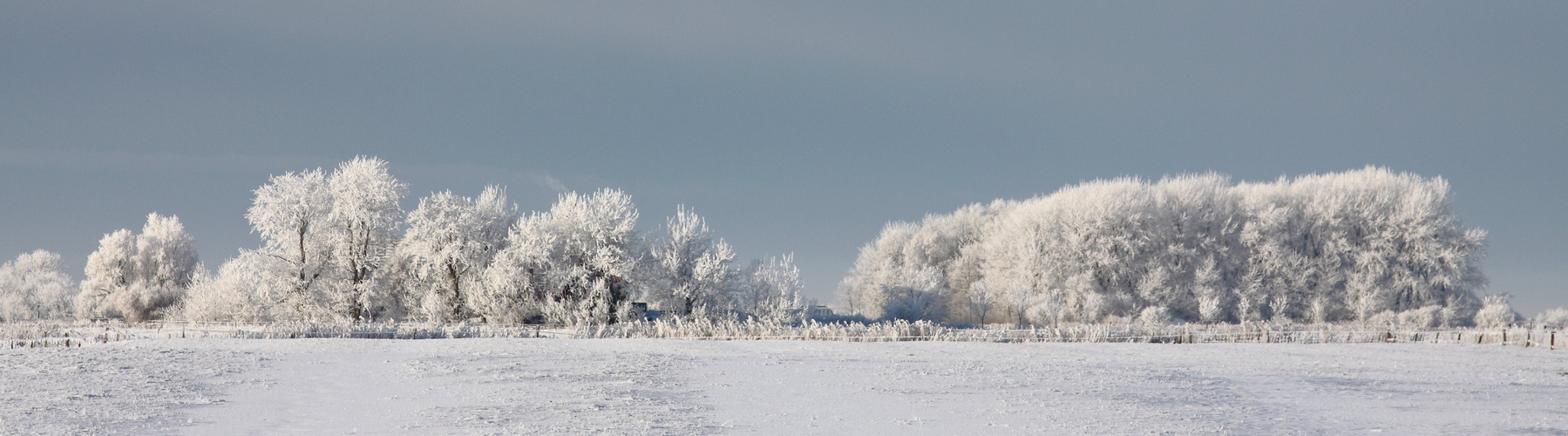 Winterpanorama