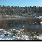 Winterpanorama im Käfertäler Wald