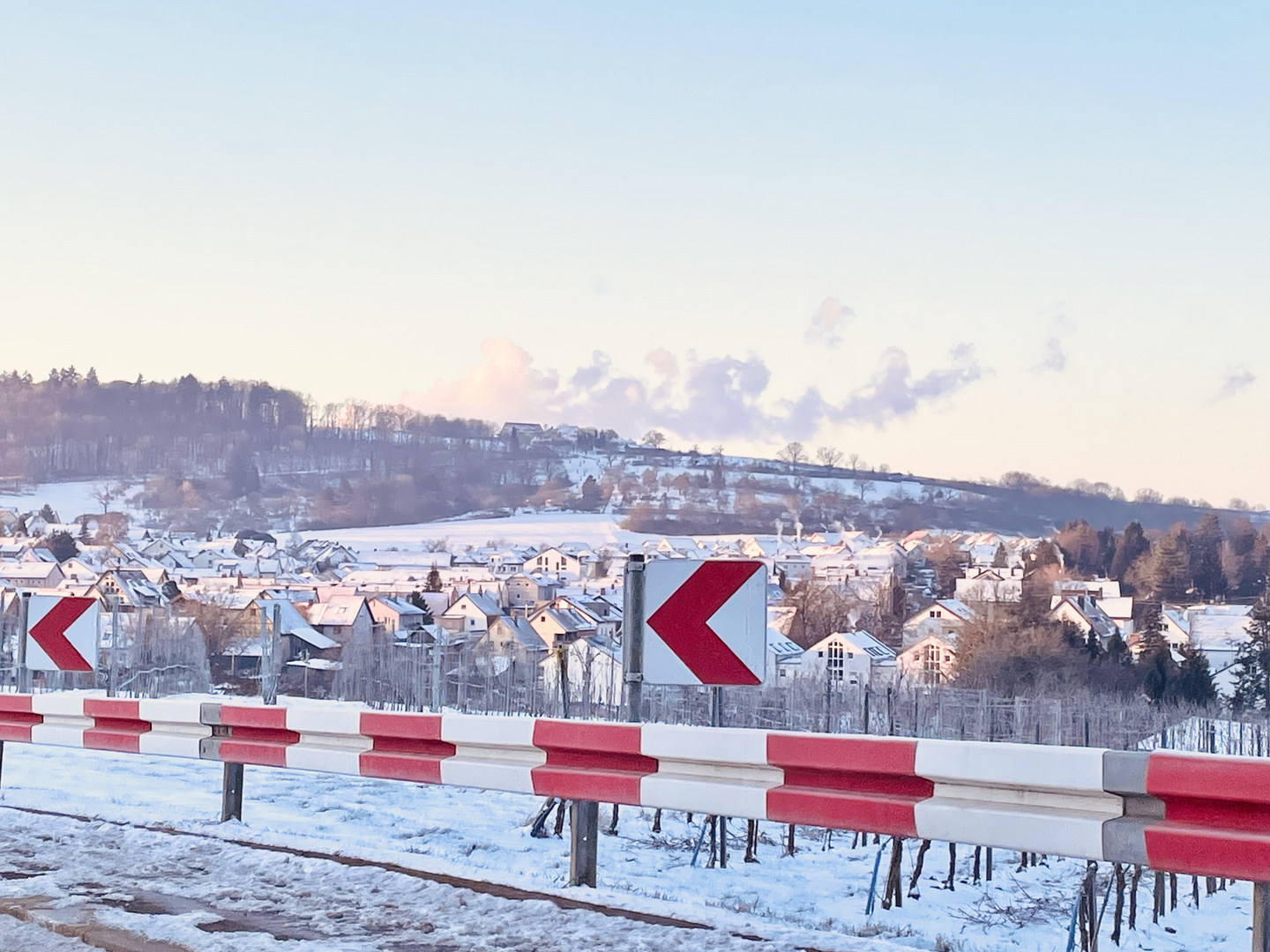 Winterpanorama mit Rot