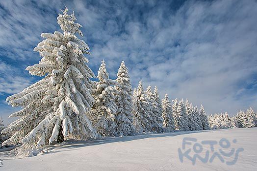 WInterparadies Bayerischer Wald