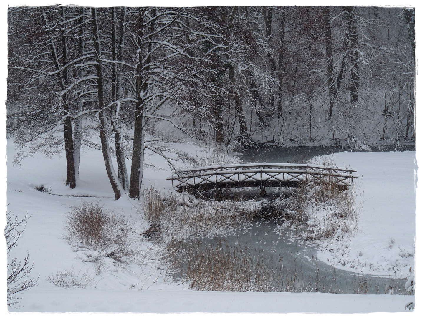 winterparadies im garten