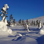 Winterparadies nicht nur für Fotografinnen und Fotografen