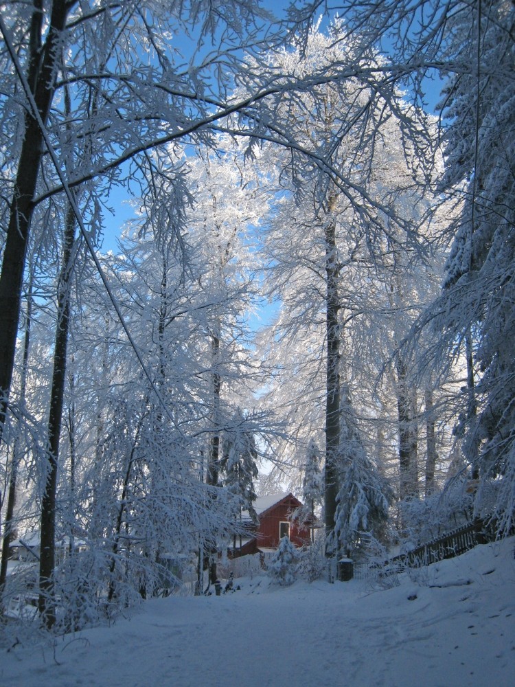 Winterparadies Zürich