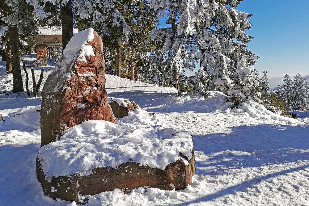 Winterpause Foto & Bild | world, bäume, winter Bilder auf fotocommunity