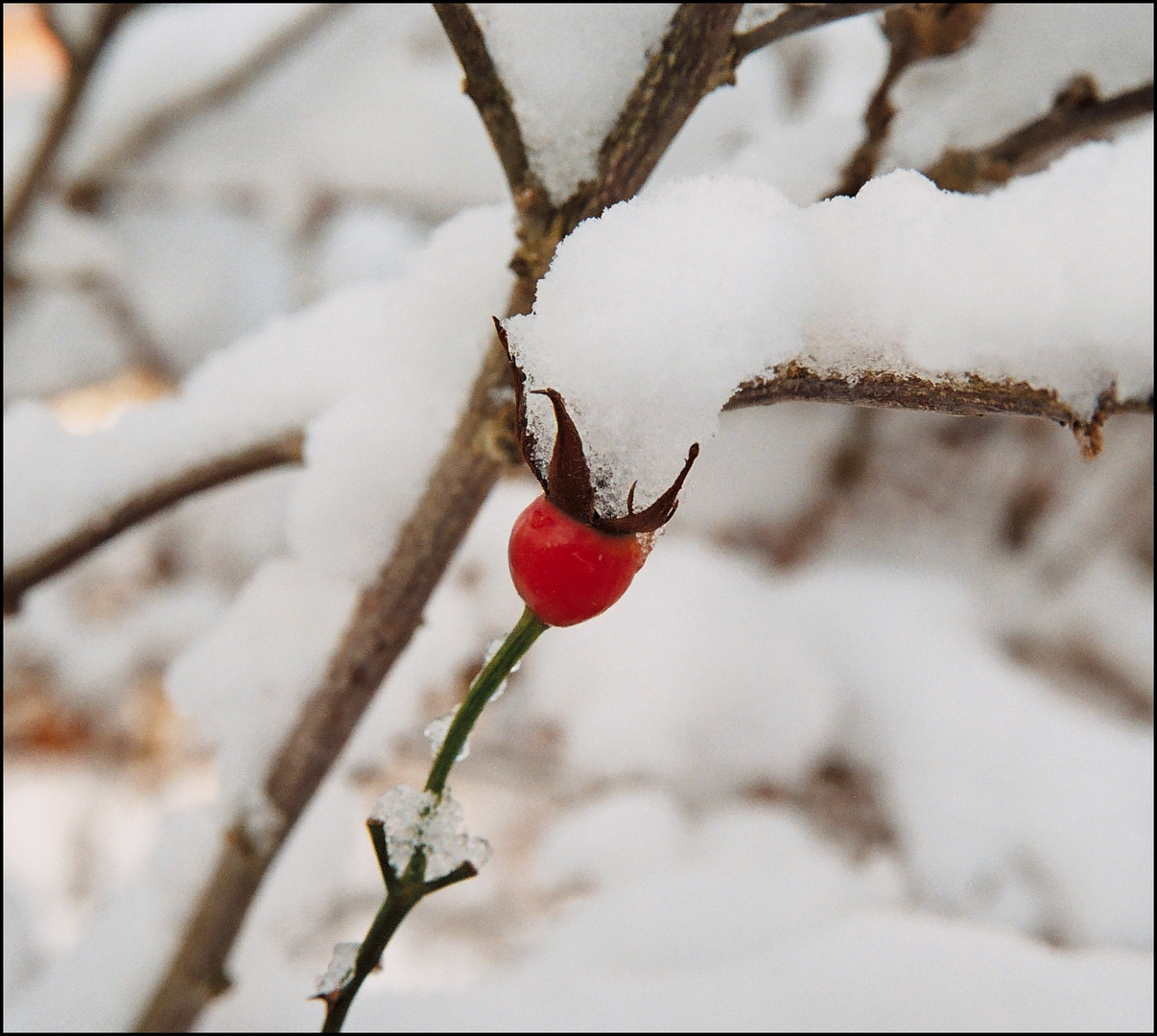 [Winterpause 7]