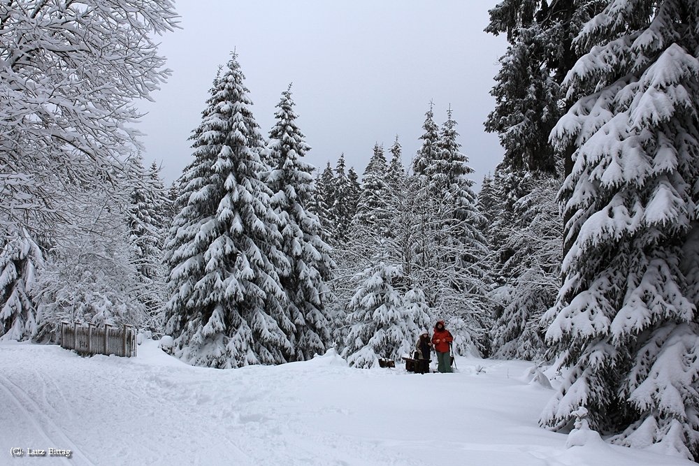 Winterpause Winterpause