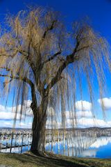 Winterpause am See