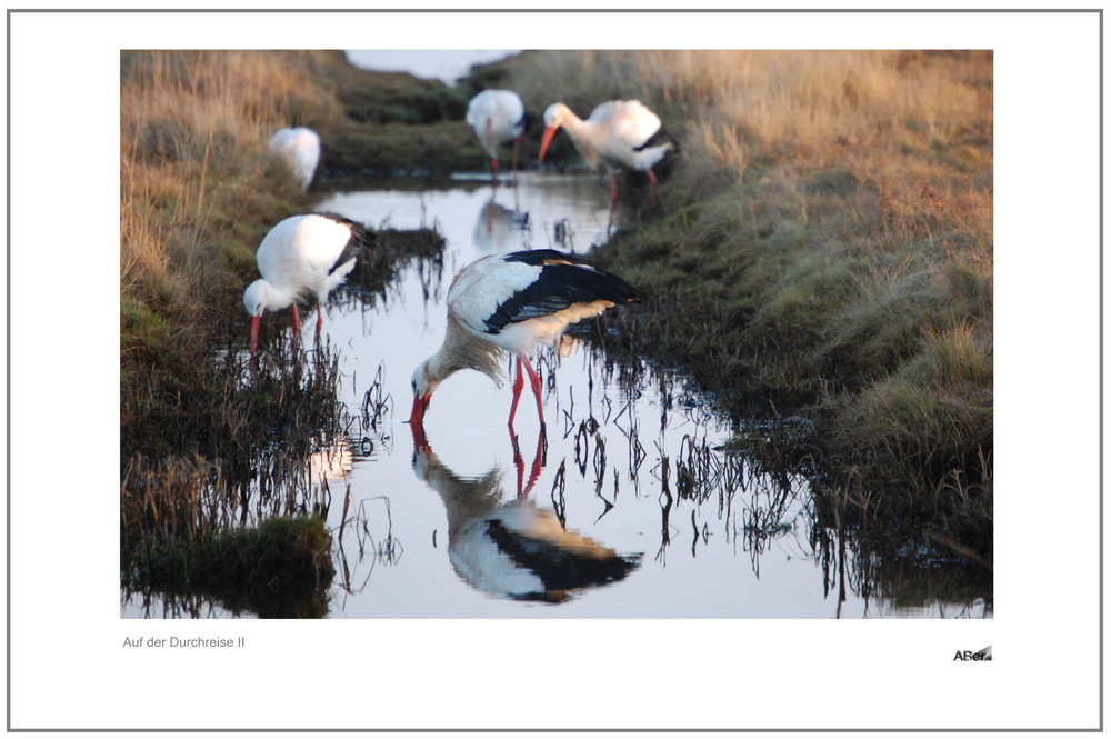 Winterpause an der Nordseeküste