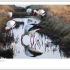 Winterpause an der Nordseeküste