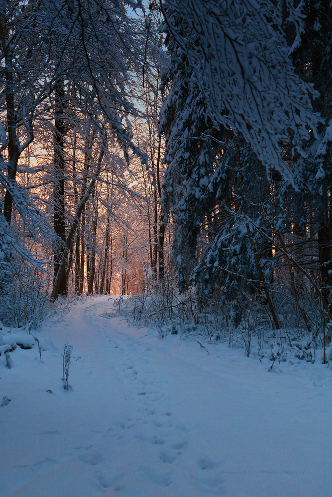 Winter.Pausen.Ende